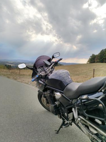 kein Foto